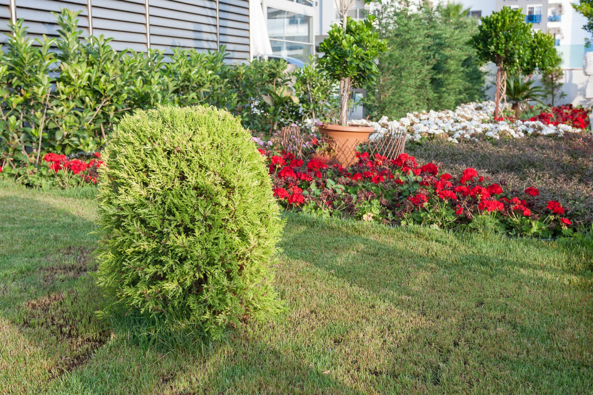 Graf Victor Hotel Alanya Exterior photo